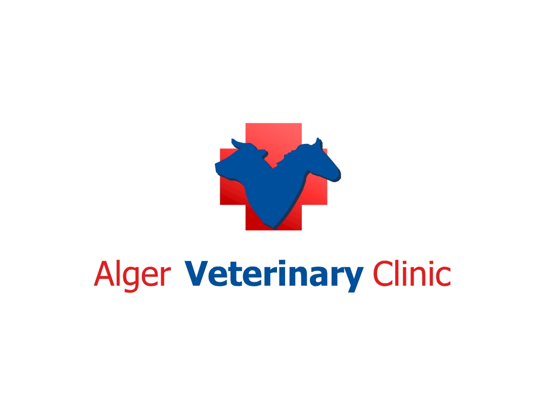 Diseño de Logo por Crayon of Sky para este proyecto | Diseño #5668202