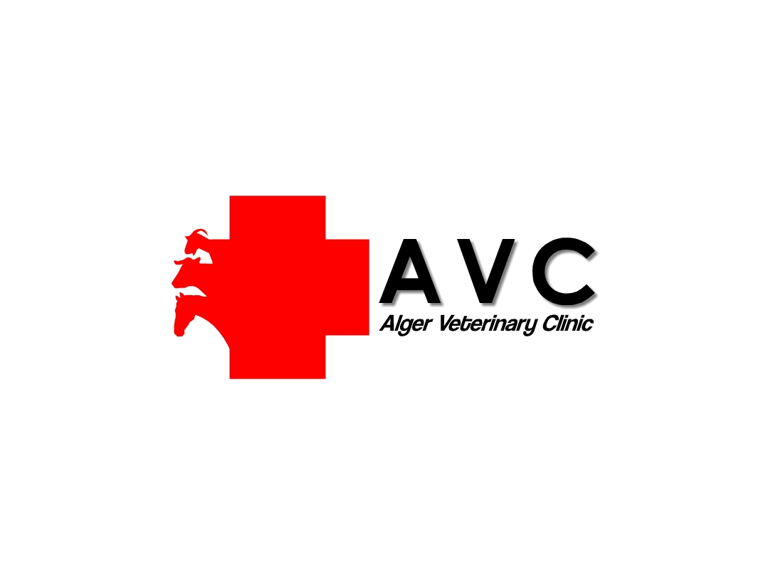 Logo Design by Crayon of Sky for this project | Design #5669099