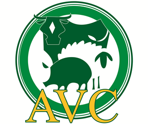 Logo Design by acrylicbased