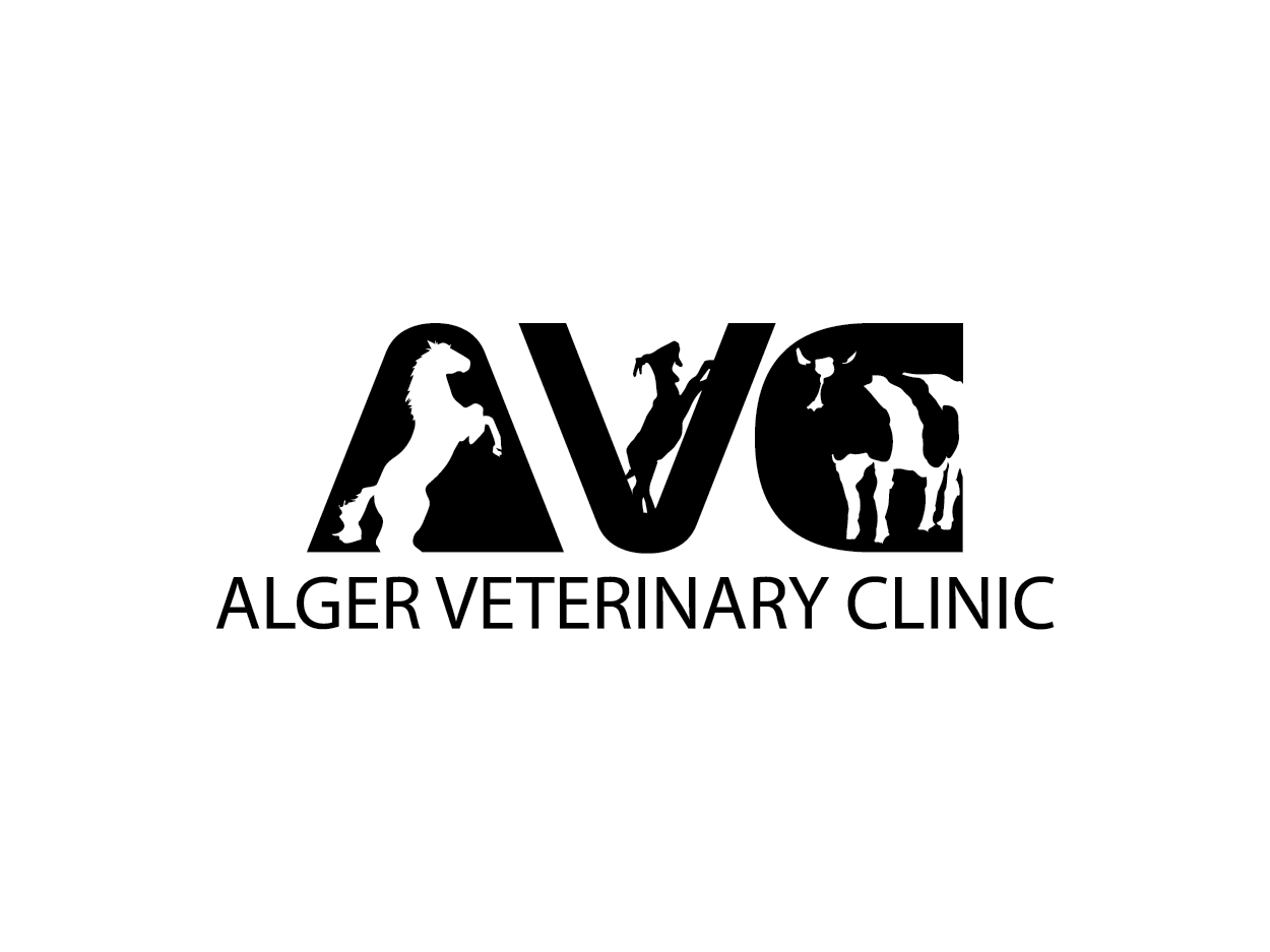 Diseño de Logo por Shemet para este proyecto | Diseño #5664509