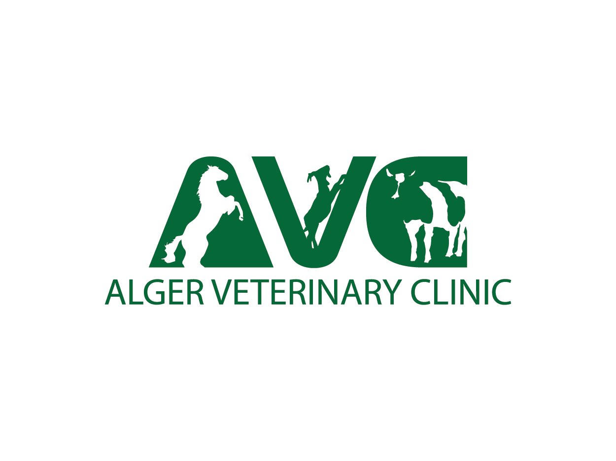 Diseño de Logo por Shemet para este proyecto | Diseño #5664525