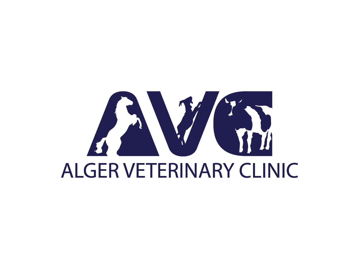 Logo Design by Shemet for this project | Design #5664542