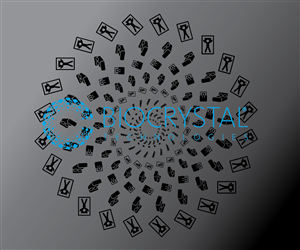 Illustration Design by designerk