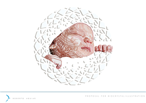 Illustration Design by RAguiar