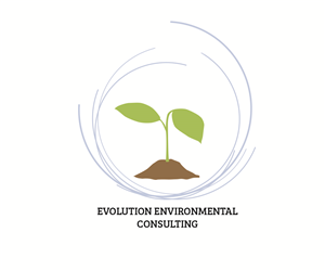 Logo Design by BNT_PTR