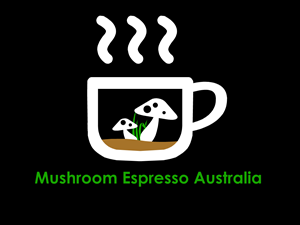 Logo Design by Invent graphics