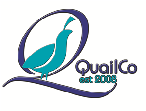 Logo Design by Grixel
