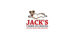 Logo Design by Bling Connect Ink for this project | Design: #5859251