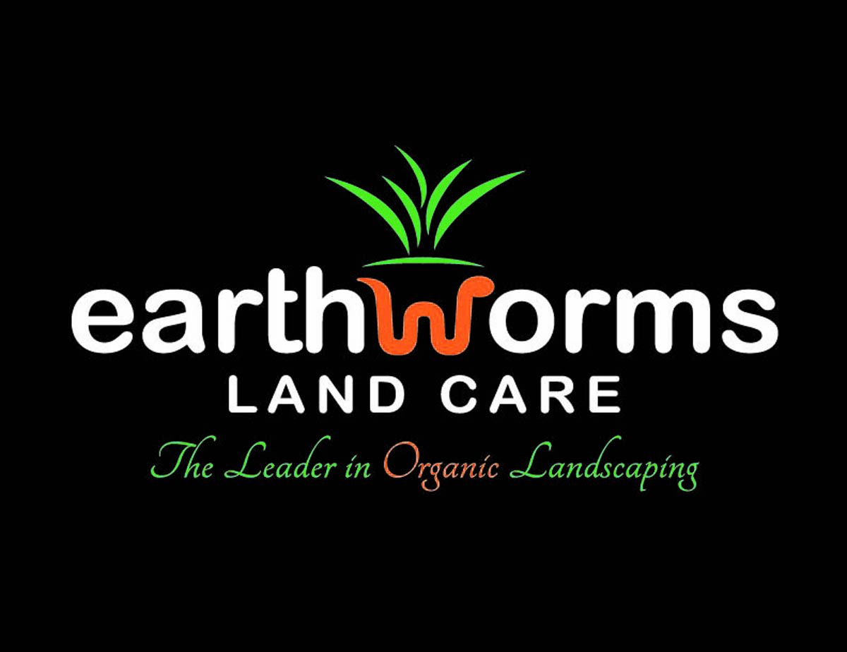 Diseño de Logo por dmdelosantos26 para este proyecto | Diseño #5869344