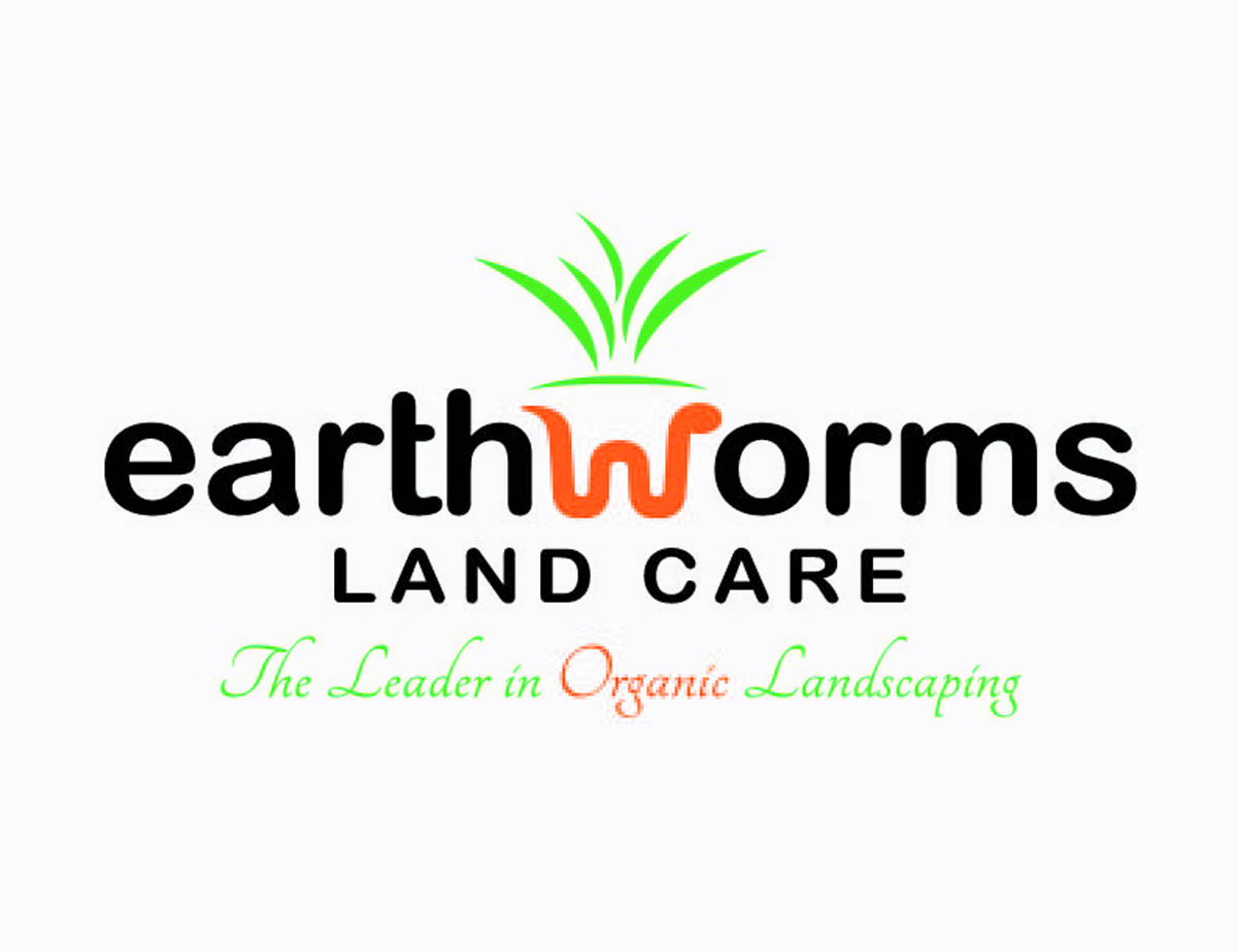 Diseño de Logo por dmdelosantos26 para este proyecto | Diseño #5869353