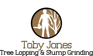 Logo Design by Susie Basso for this project | Design #5700742