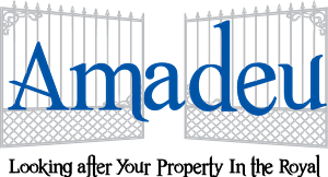 Logo Design by Susie Basso