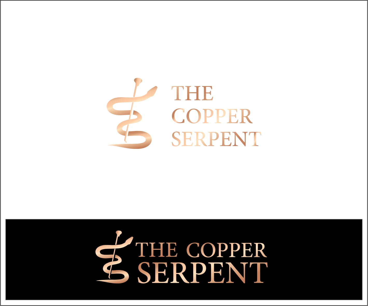 Logo Design by Brenda13 for this project | Design #5686294