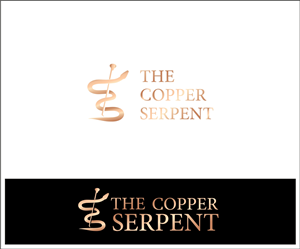Logo Design by Brenda13 for this project | Design: #5686294
