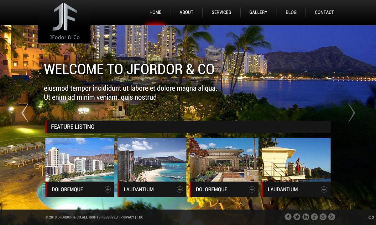 Wordpress Design by pb for JFodor & Co, LLC | Design #1577010