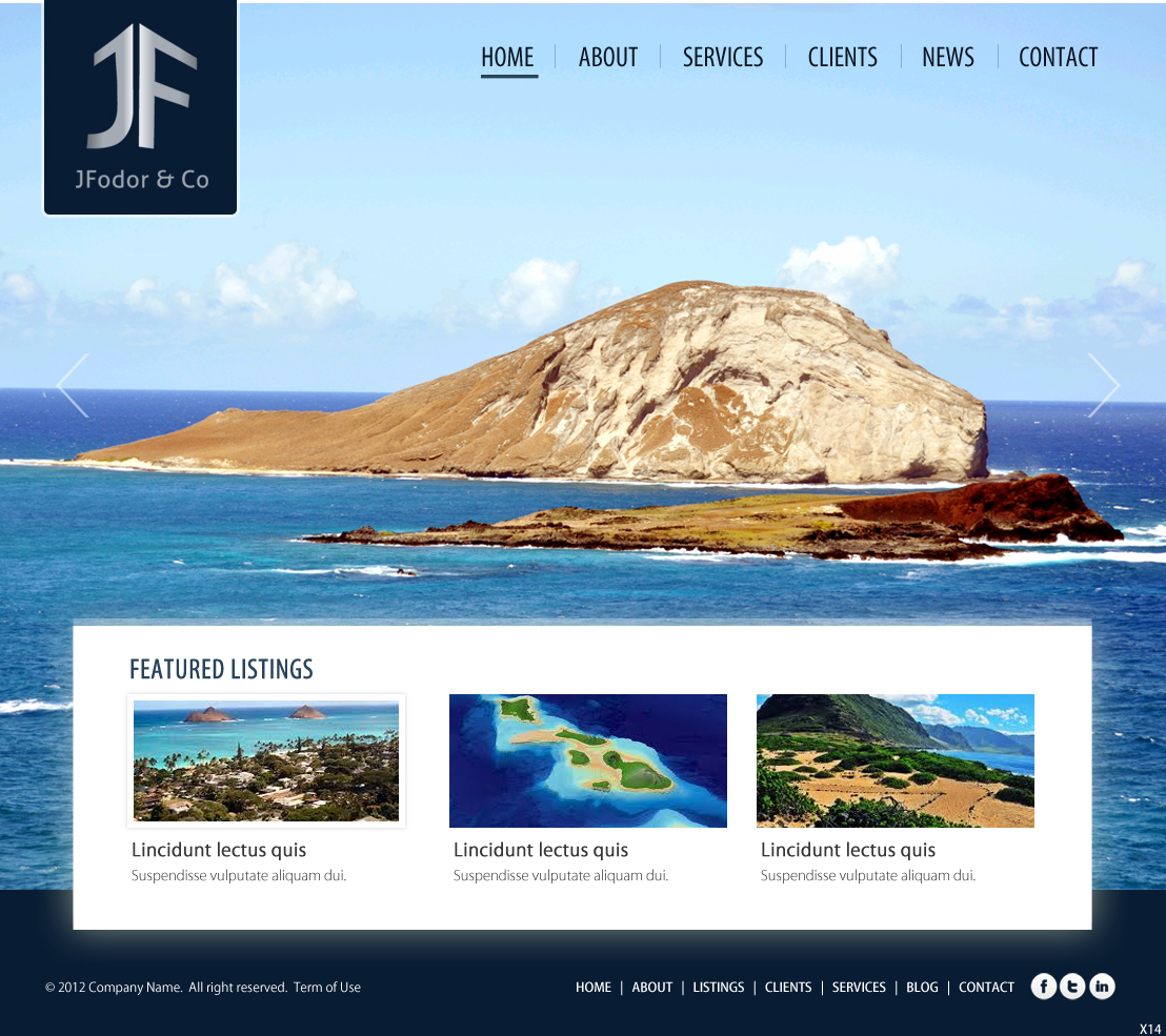 Wordpress Design by pb for JFodor & Co, LLC | Design #1577014