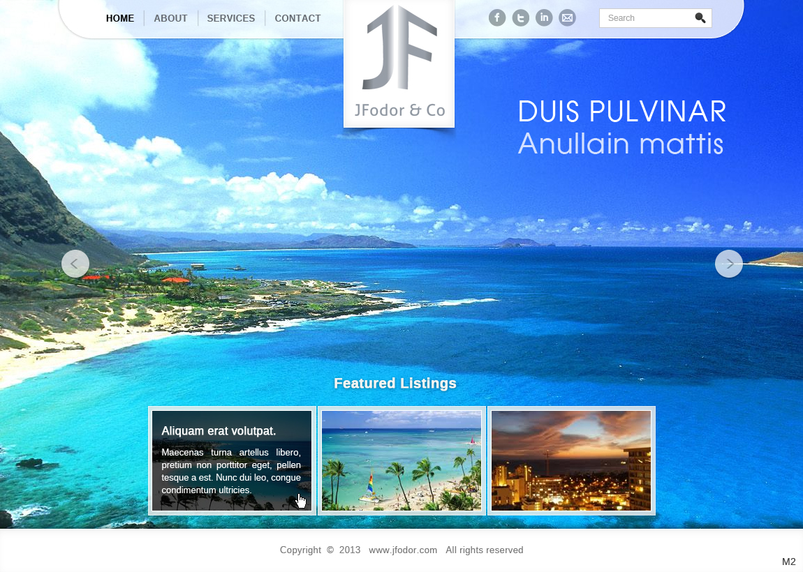 Wordpress Design by pb for JFodor & Co, LLC | Design #1577018