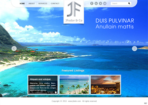 Wordpress Design by pb for JFodor & Co, LLC | Design: #1577018