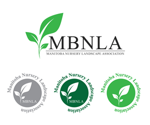 Logo Design by anshtoyj