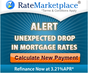 Banner Ad Design by birdy