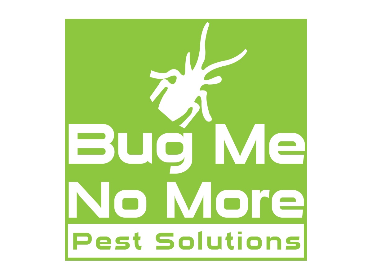 Diseño de Logo por MKG para este proyecto | Diseño #5650025