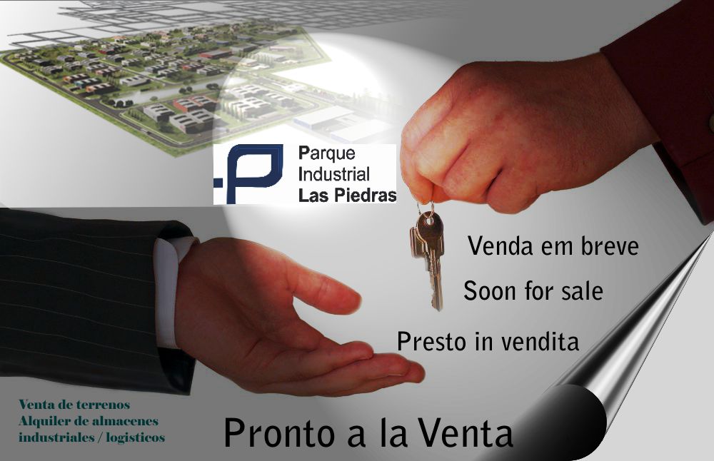 Design Graphique par Daniela Ramírez pour PILP | Design #1579962