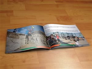 Brochure Design by Madhusudan for this project | Design: #5727876