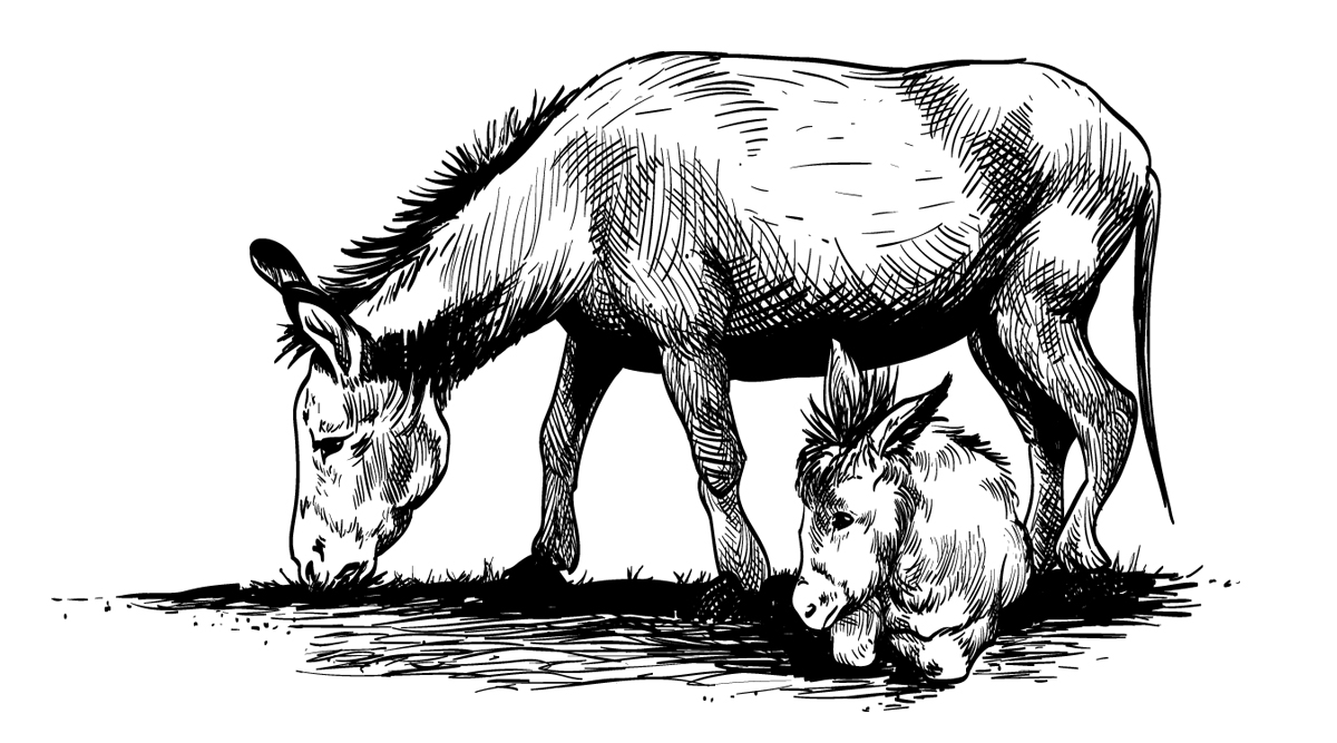 Illustration Design by Austin_Phillips for this project | Design #1593357