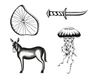 Illustration Design by Paula SC