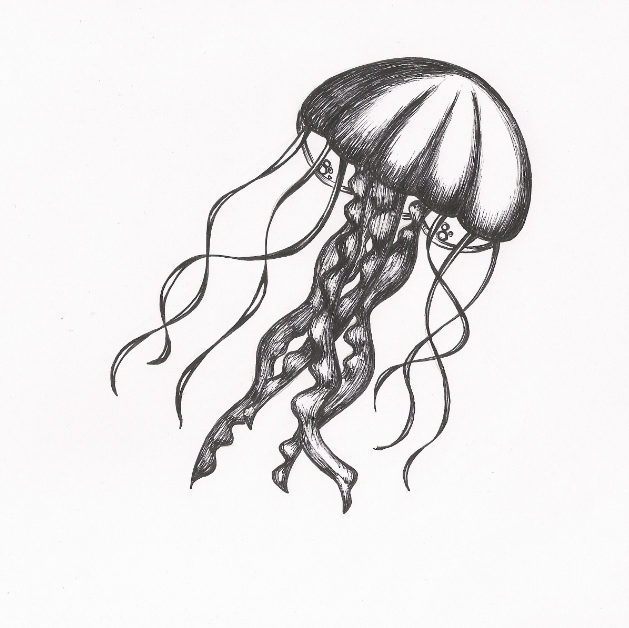 Illustration-Design von reel illustration für dieses Projekt | Design #1575026