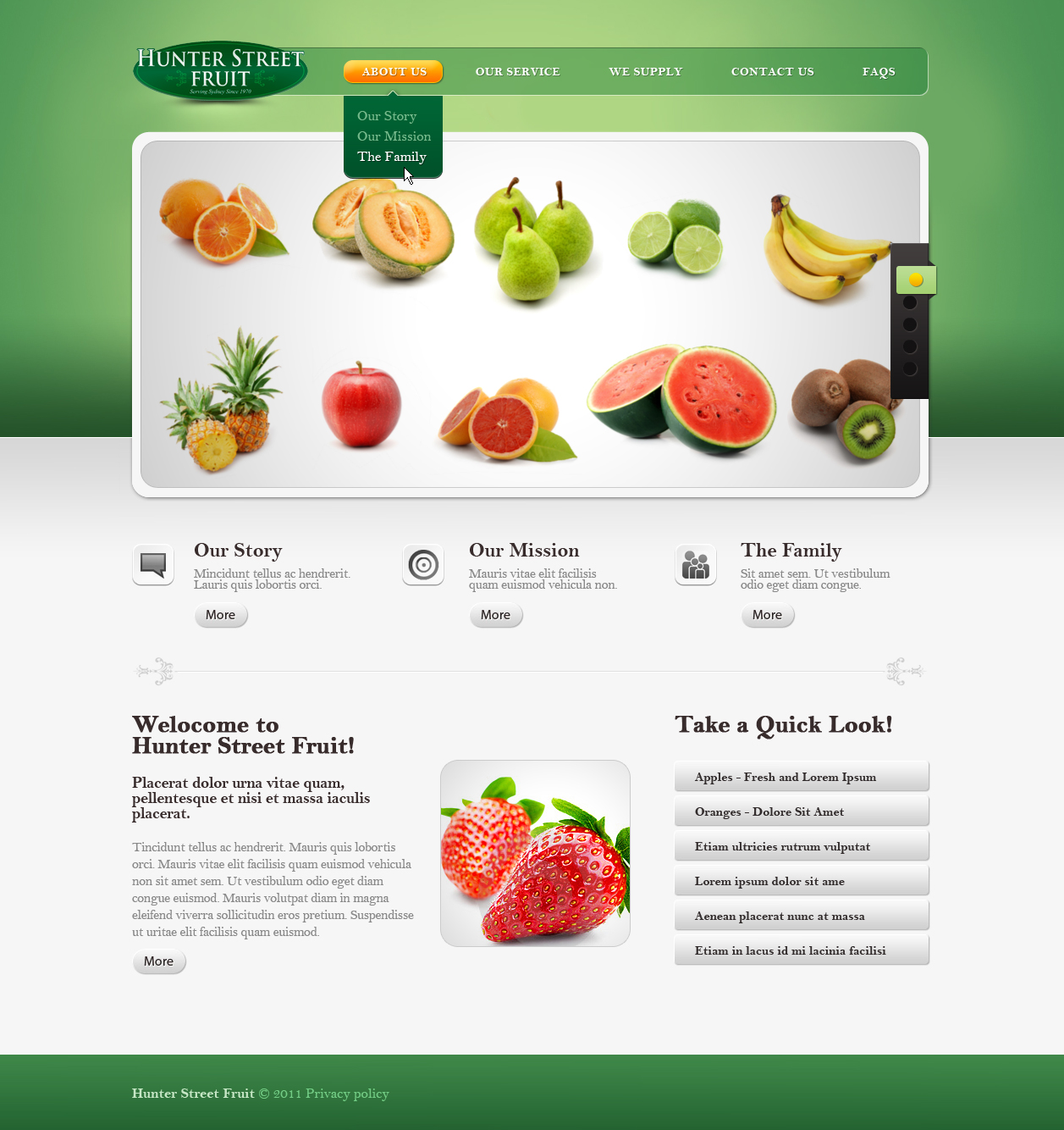 Web Design by All Star Designers for this project | Design #389524