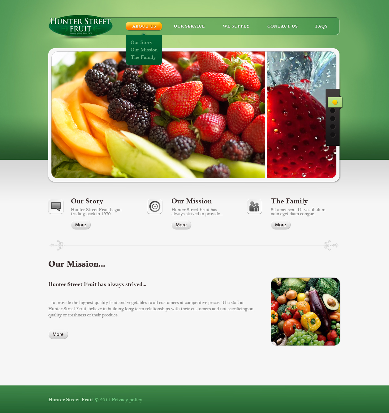 Web Design par All Star Designers pour ce projet | Design #389530