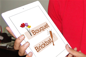 Design Graphique par Saumin Bhavsar pour Brickbats & Bouquets | Design : #5652776
