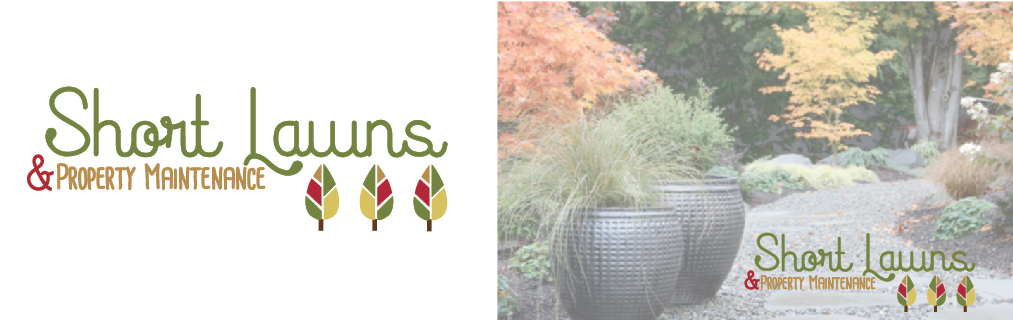 Logo Design by brittanylee77 for MindMoves | Design #5642384
