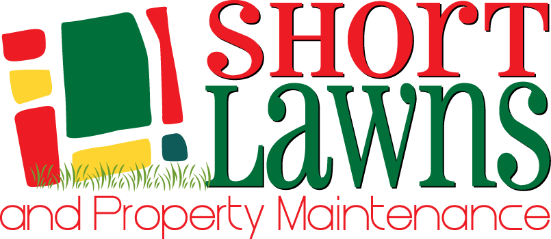 Logo Design by Susie Basso for MindMoves | Design #5643349