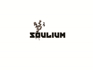 Logo Design by S_A