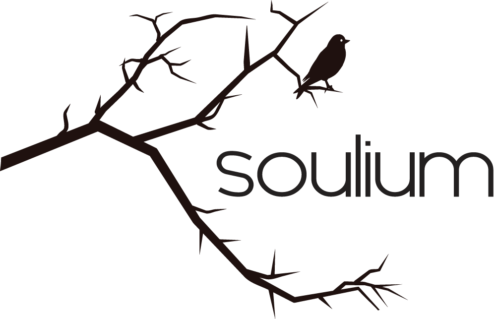 Logo Design by reinerjesus for Soulium UG (haftungsbeschr?nkt) | Design #5726342