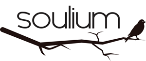 Logo Design by reinerjesus for Soulium UG (haftungsbeschr?nkt) | Design: #5726344