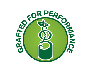 Logo Design by Texel for this project | Design: #5652501