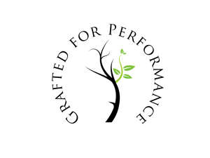 Logo Design by Antonela
