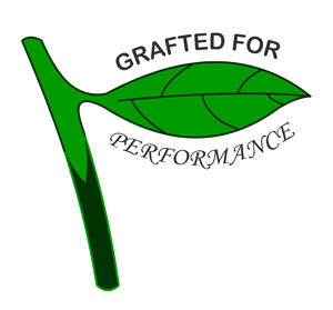 Logo Design by TJ Lewis