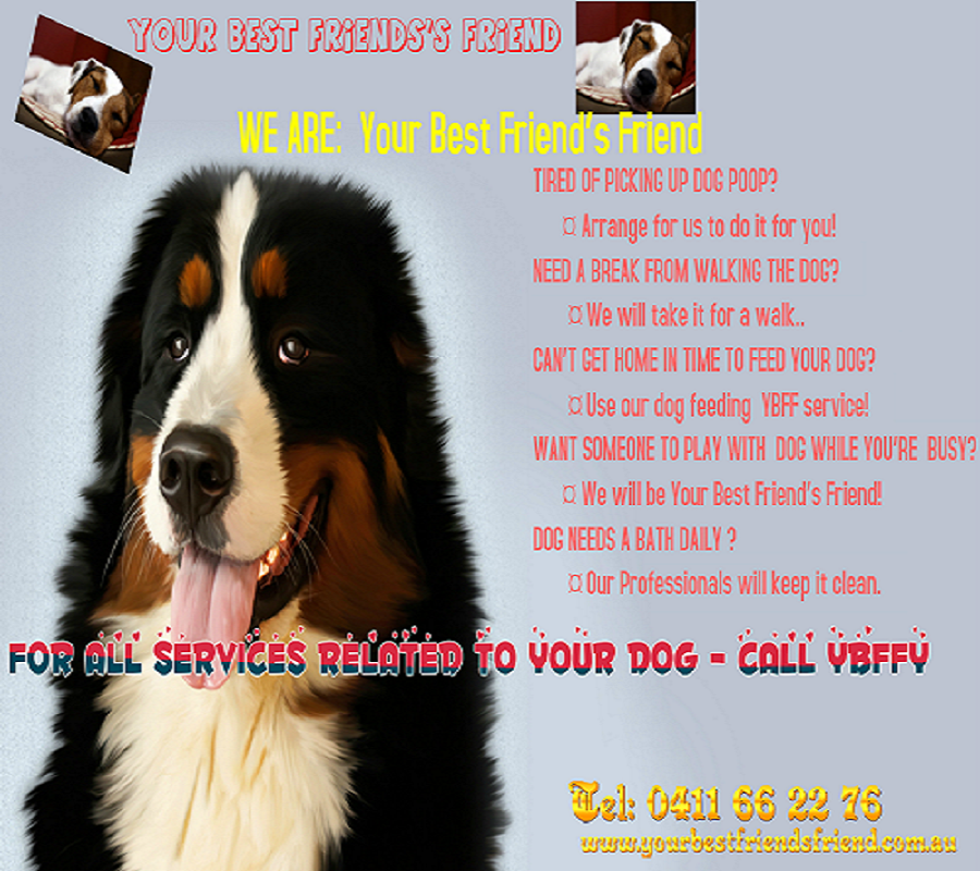 Flyer-Design von nisham_nazeer für dieses Projekt | Design #5653130