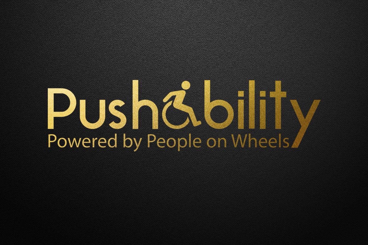 Logo Design by Hadyloo for Pushability | Design #5652760
