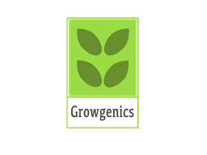 Logo Design by BC Designs
