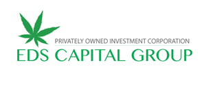 Business Card Design by larosedessables