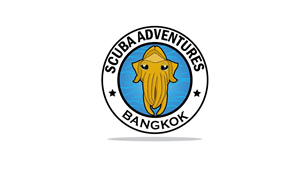 Logo Design by Bling Connect Ink