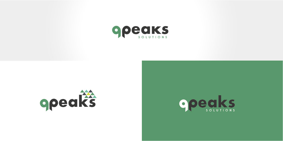Diseño de Logo por Birdcage para Nine Peaks Solutions LLC | Diseño #5688083