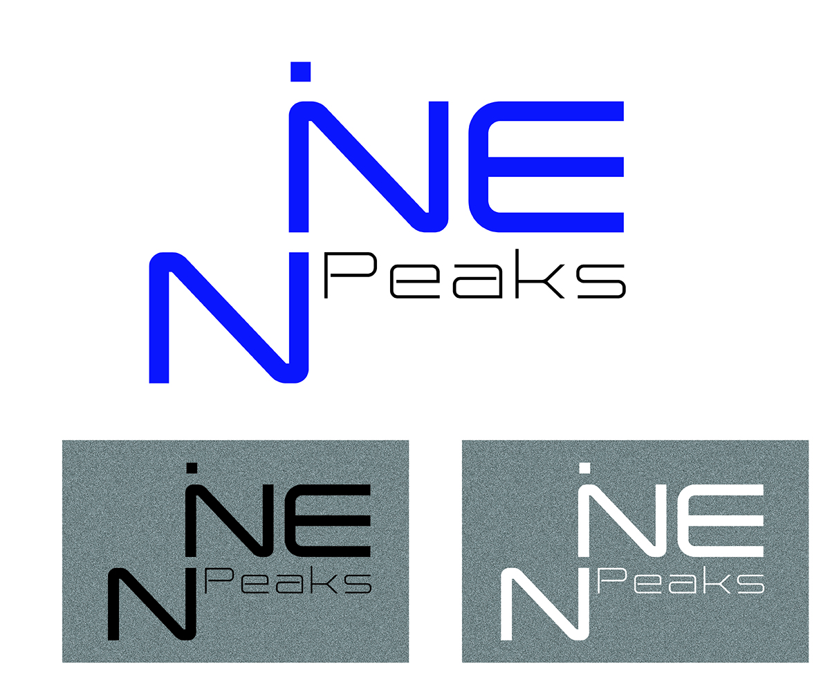 Logo Design by linaeli for Nine Peaks Solutions LLC | Design #5660349