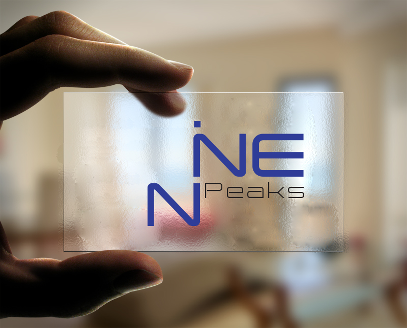 Logo Design by linaeli for Nine Peaks Solutions LLC | Design #5660354