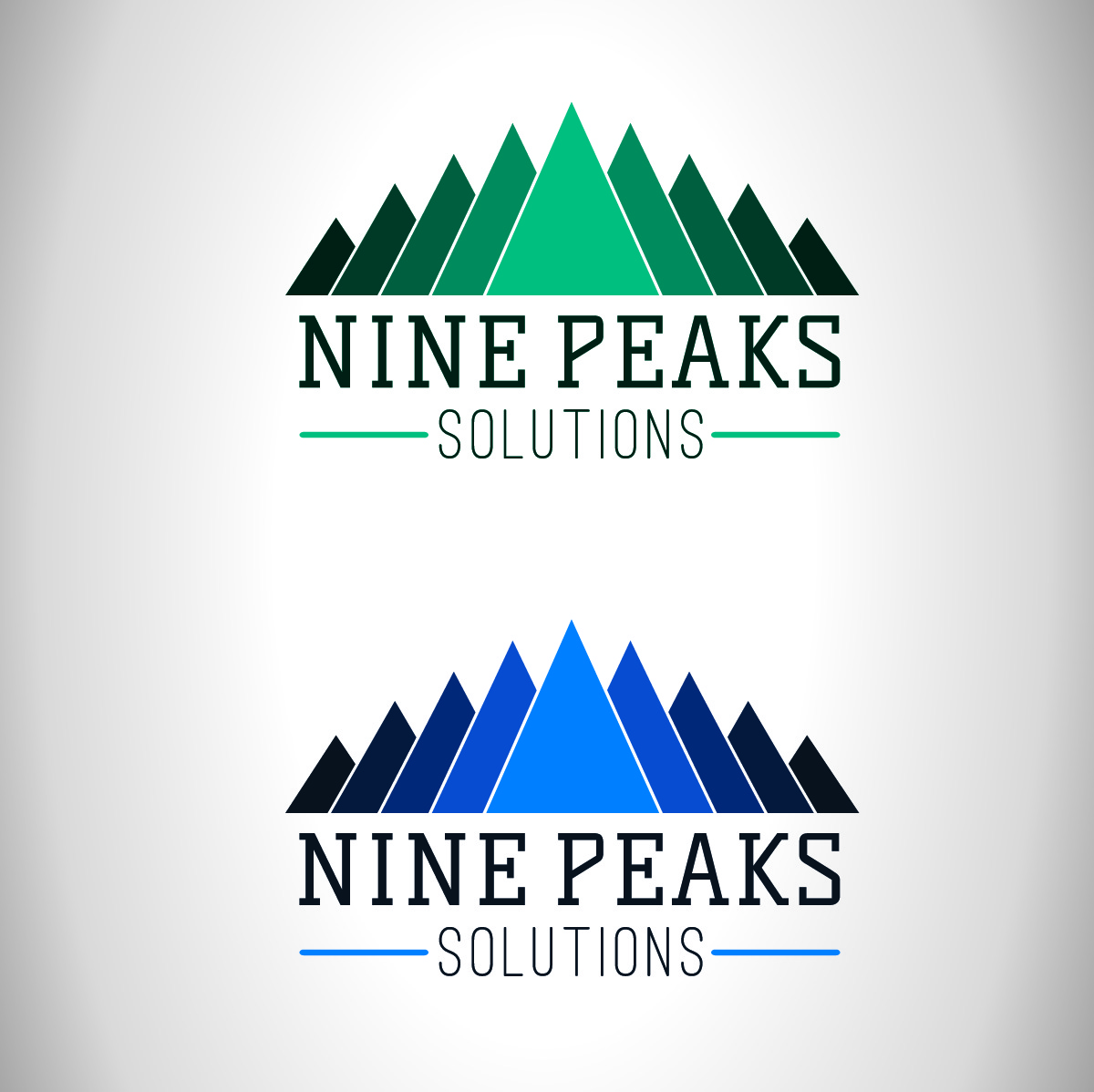 Diseño de Logo por Jace Asher Design para Nine Peaks Solutions LLC | Diseño #5665324